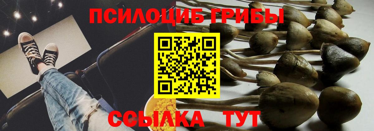 Псилоцибиновые грибы Psilocybine cubensis  Вход с VPN  Миасс 